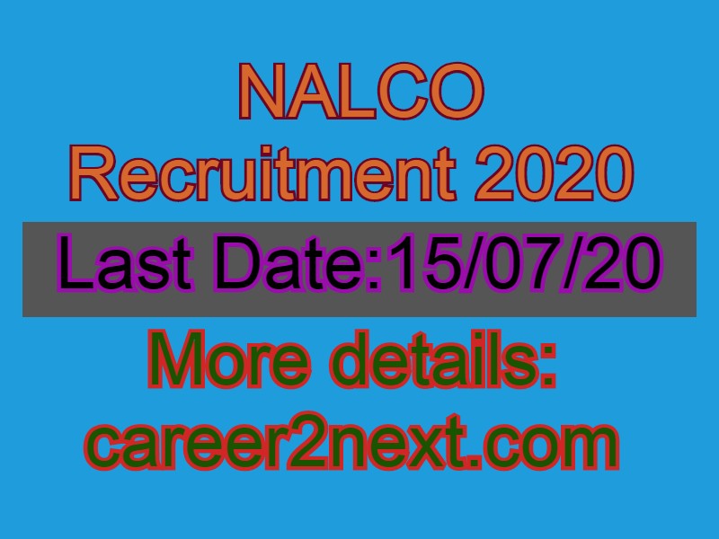 NALCO 美女的小鸡 2020