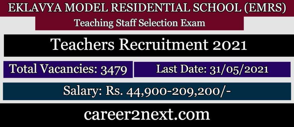EMRS Teachers 稚嫩小奶娃h文浪荡女 2021