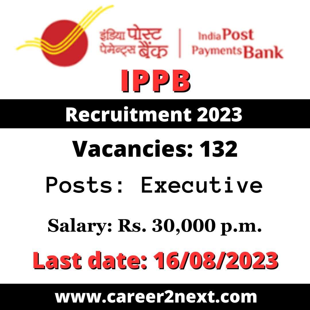 IPPB Executive 野结衣+影音先锋 2023