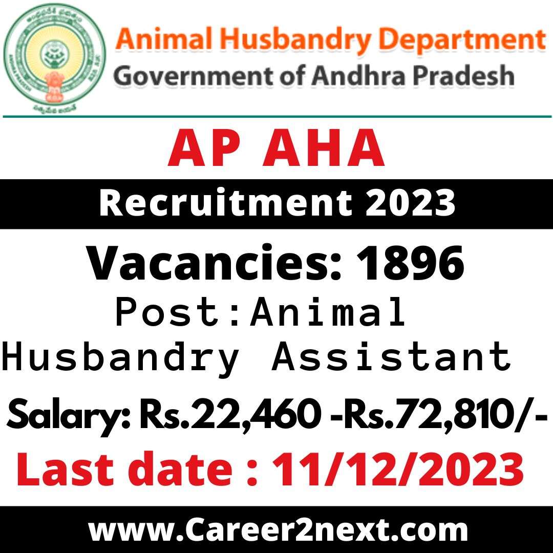 AP AHA 阳茎伸入女人的阳道免费视频 2023