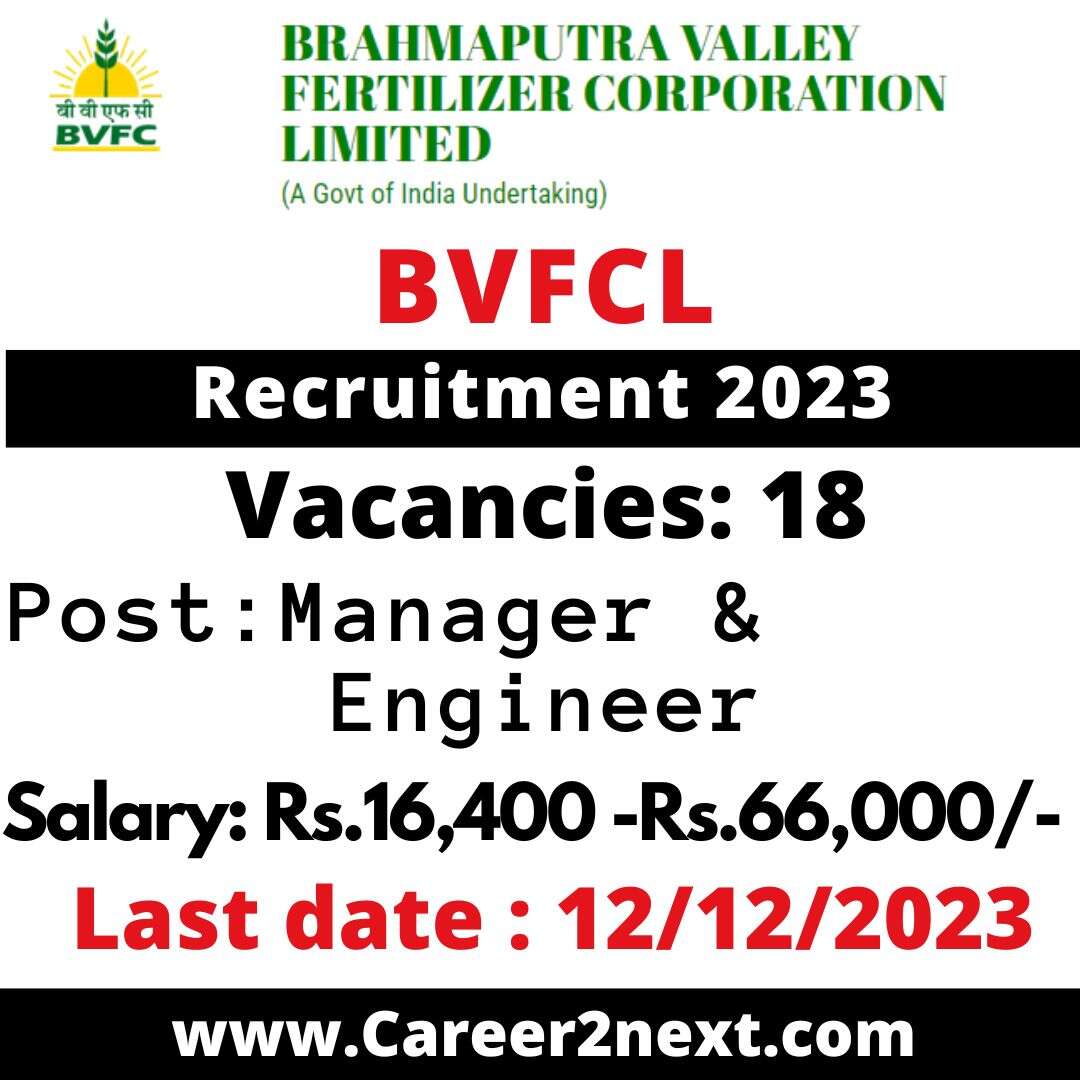BVFCL 阳茎伸入女人的阳道免费视频 2023