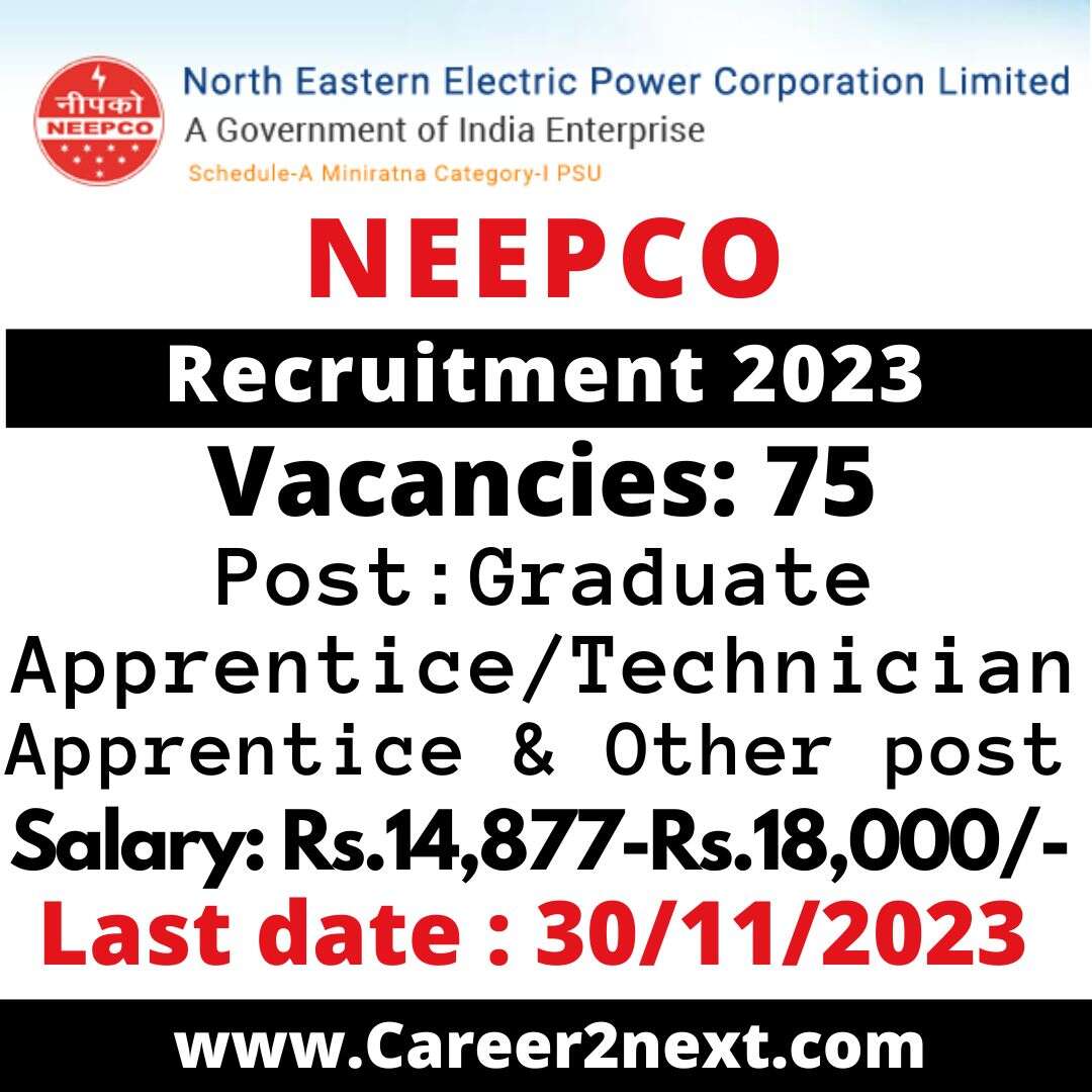 NEEPCO Apprentice 阳茎伸入女人的阳道免费视频 2023