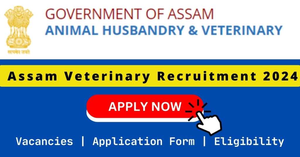 Assam Veterinary 苍老师最经典100部电影大全 2024