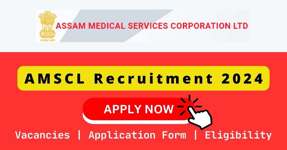 AMSCL 甜性涩爱在线观看 2024