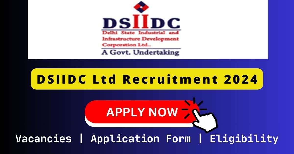 DSIIDC Ltd 百威成人影视 2024