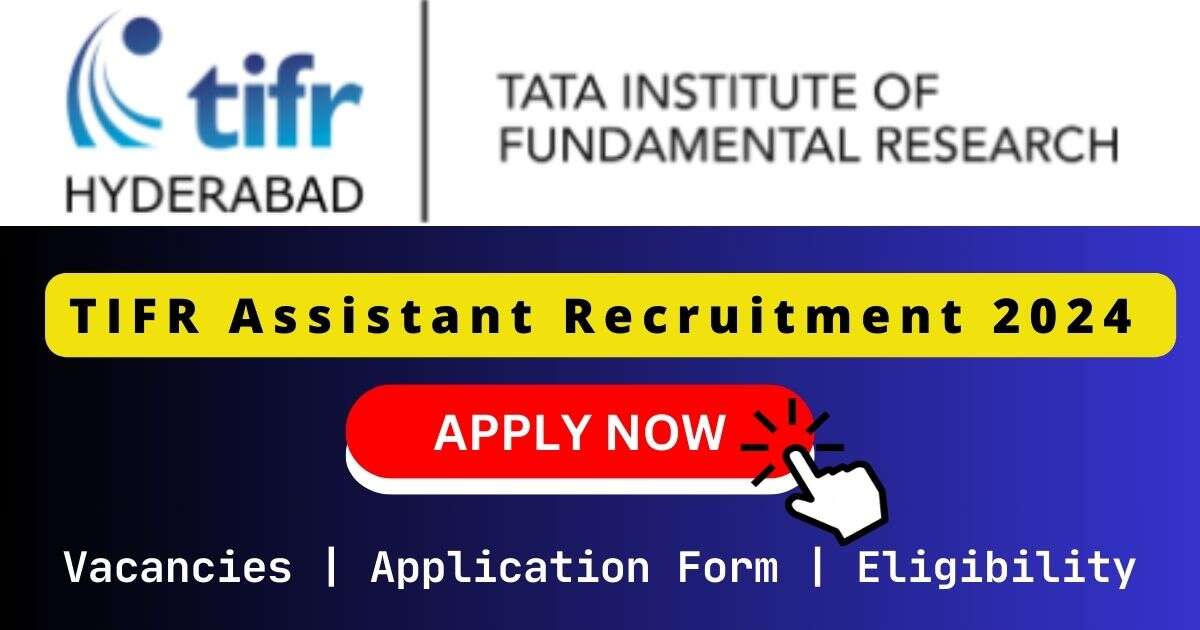 TIFR Assistant 撸撸啪啪啪视频 2024